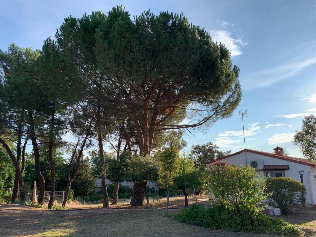 Casa En Finca, Con Piscina Zarzuela Villaviciosa de Odon